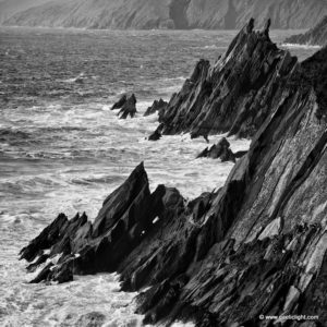 dingle_spikes_BW