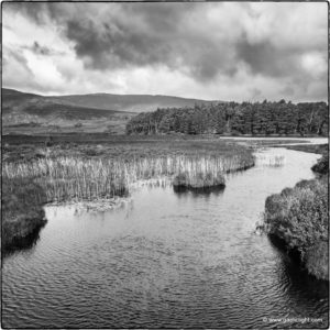 glenveagh 1