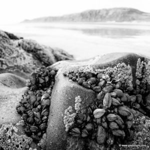 inishowen-005